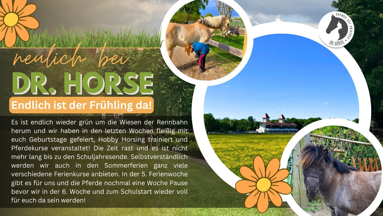 Kleines Frühlings-Update