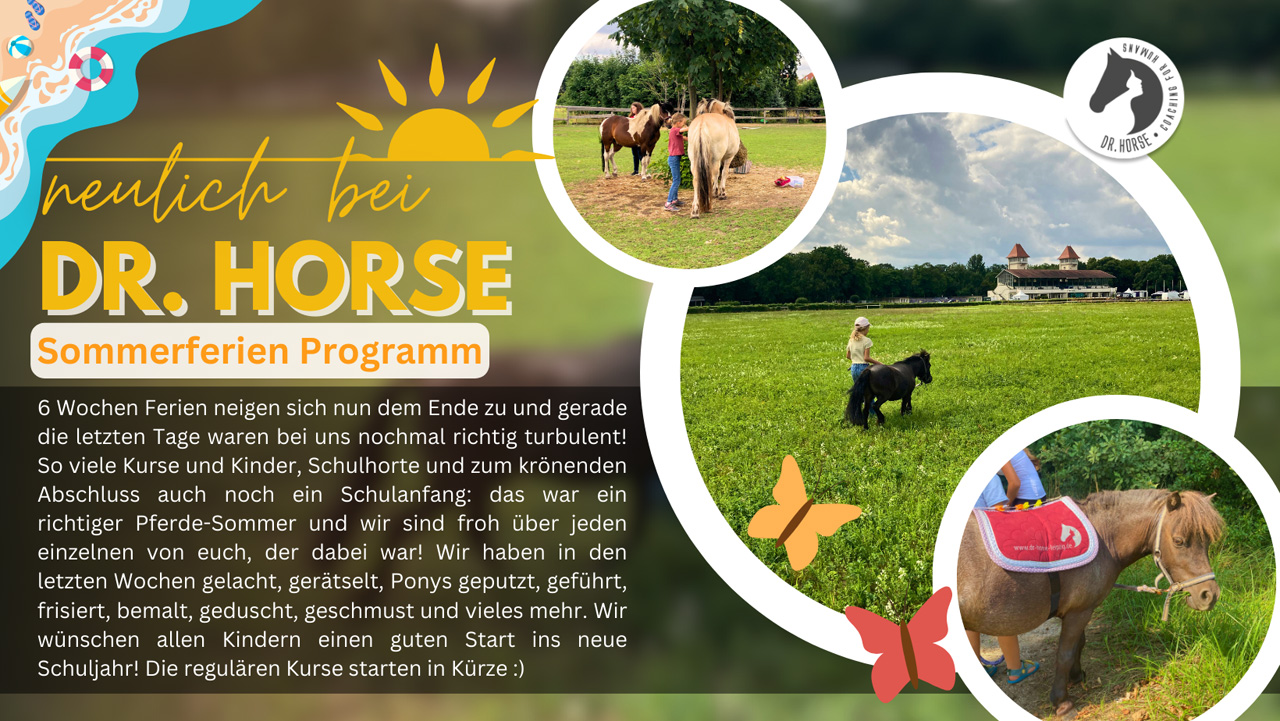 Das waren die Sommerferien