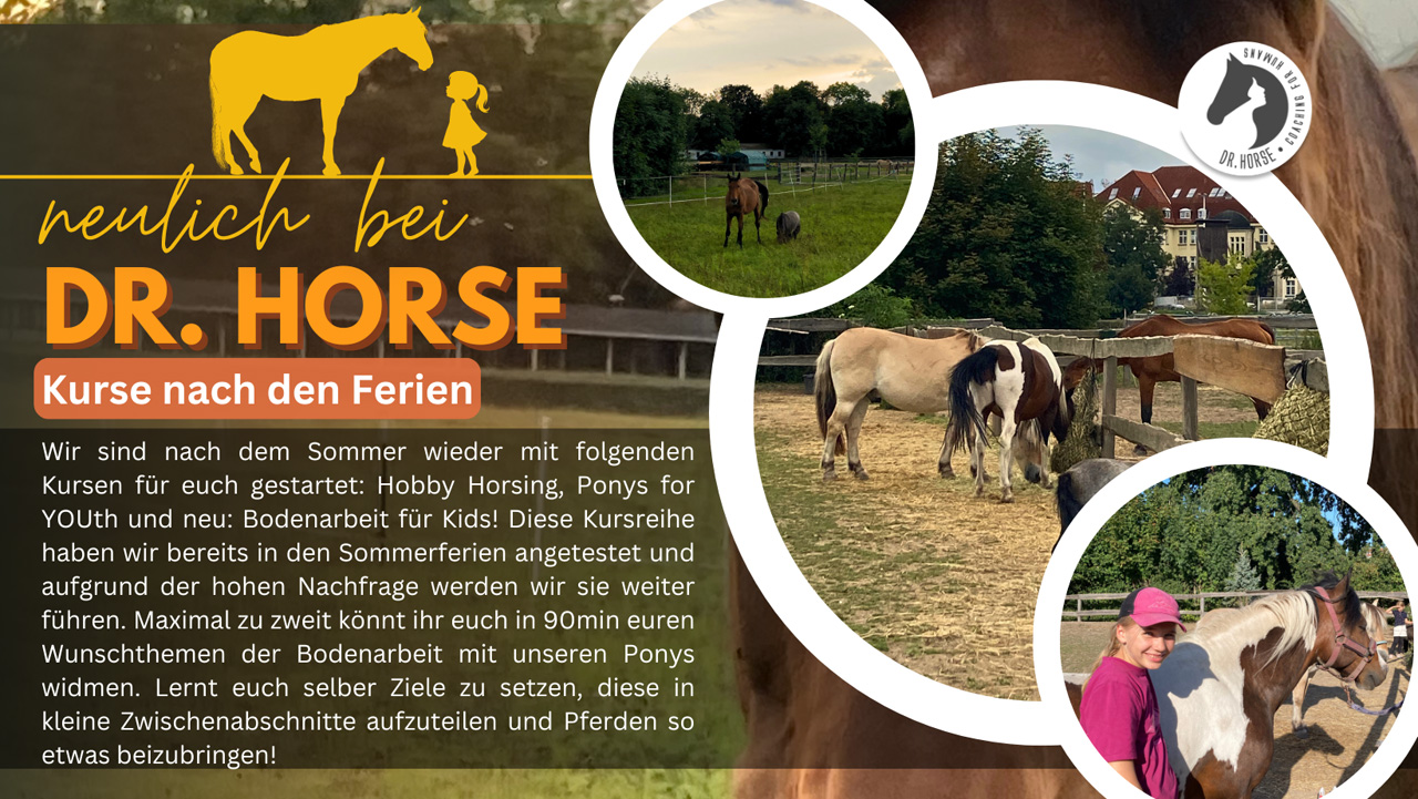 Pferdekurse nach den Ferien
