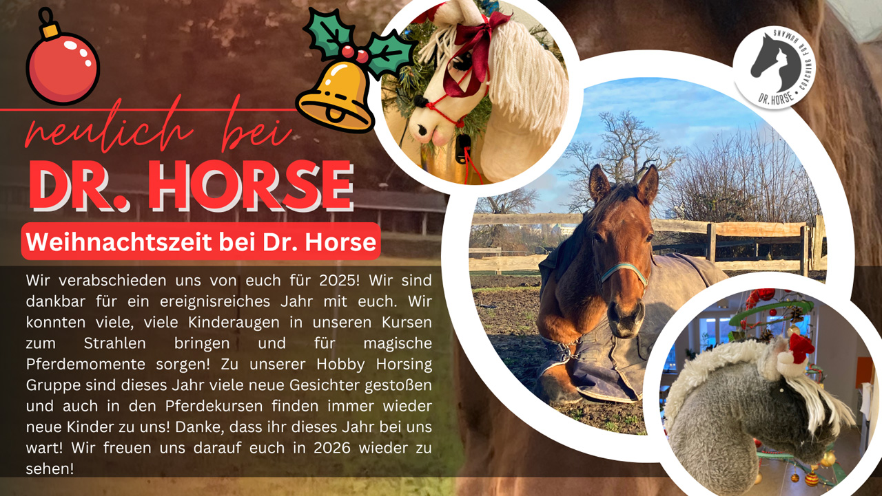 Frohe Weihnachtszeit!