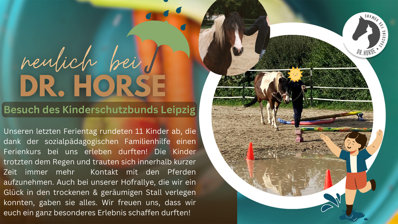 Ein Tag mit Pony Paul