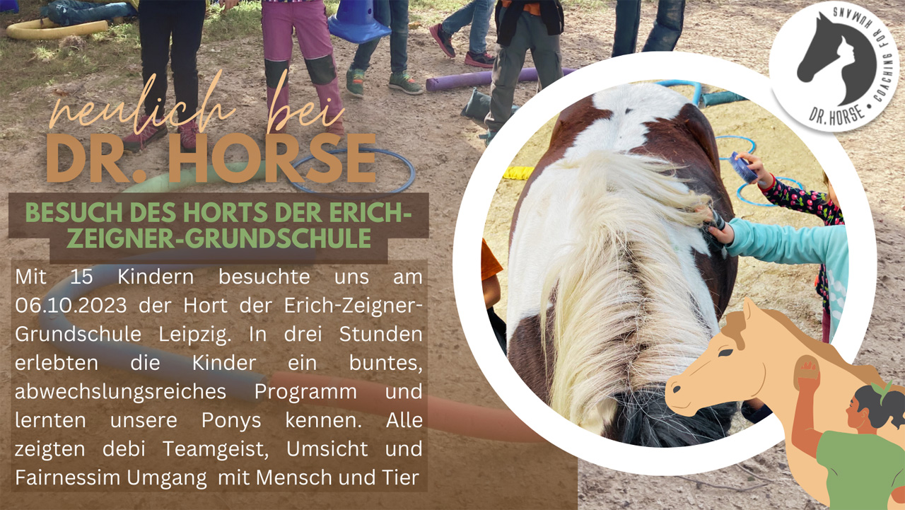 Ein Tag mit Pony Paul