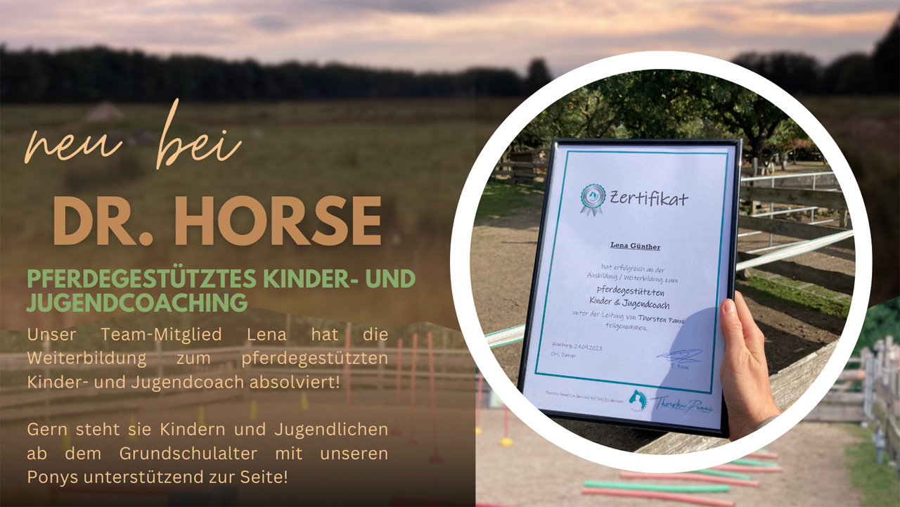 Pferdegestütztes Coaching für Kinder- und Jugendliche