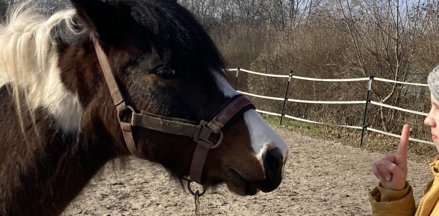 Kursbild