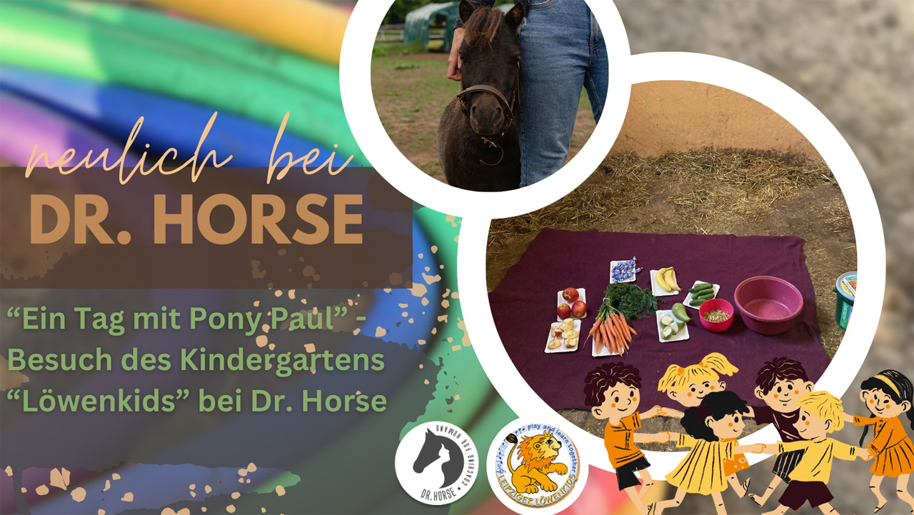 Ein Tag mit Pony Paul